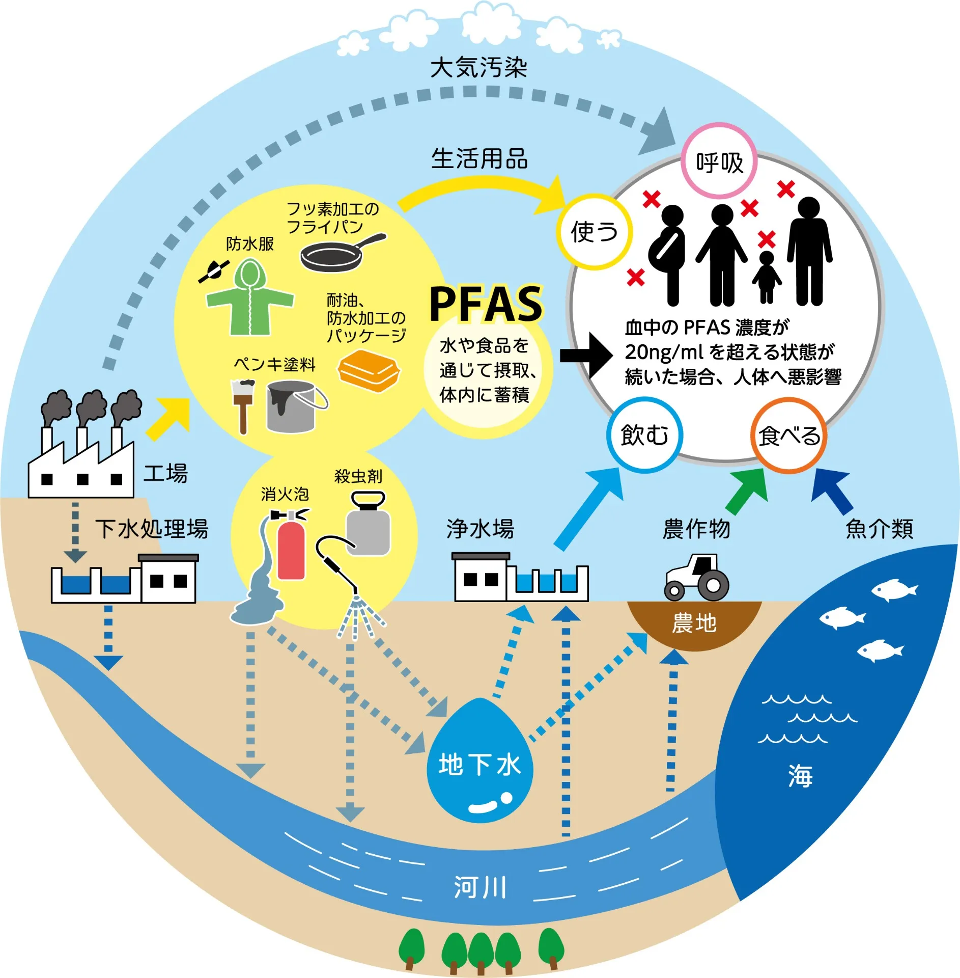 PFASを除去！安心の浄水器選びガイド